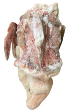 Load image into Gallery viewer, Duck Carcass.  Raw