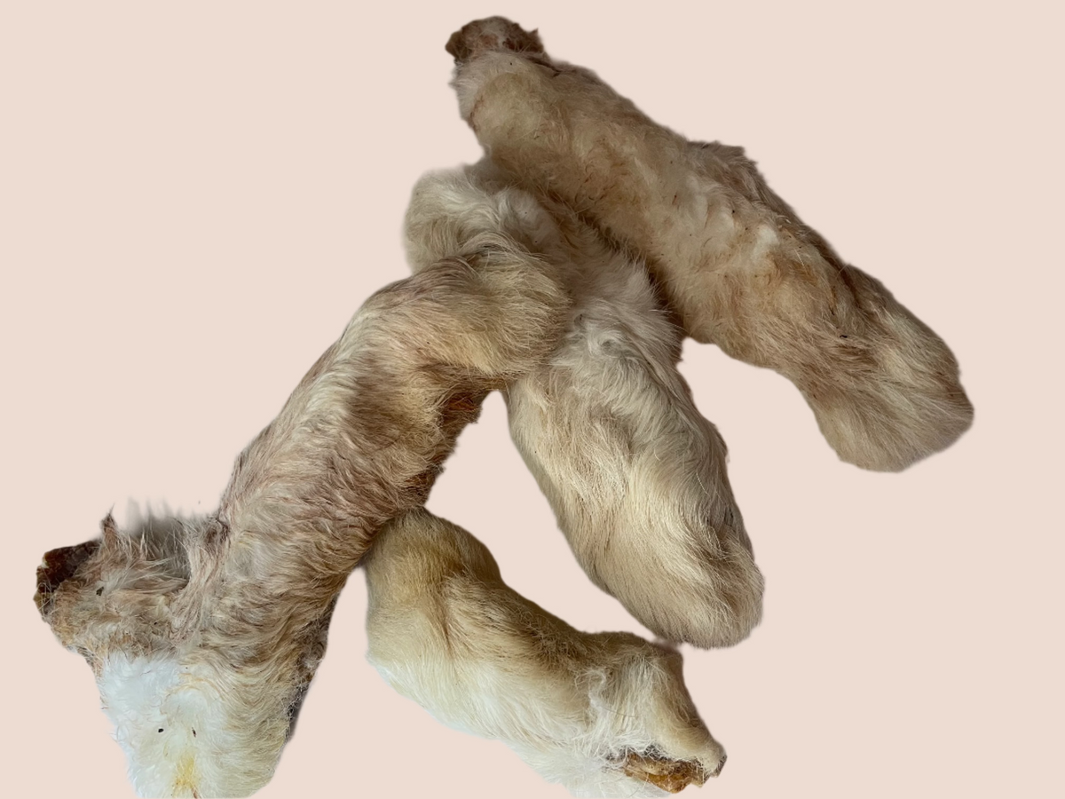 Rabbit Feet (Dried) with Fur. 100g (Approx) Orderpetfood.co.uk
