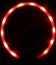 Load image into Gallery viewer, LED Flashing Loop