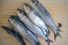 Load image into Gallery viewer, Fish - Sardines.  Raw.  1kg (approx).  Individually Frozen