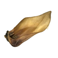 Load image into Gallery viewer, Buffalo Ears  - Dried