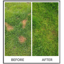 Load image into Gallery viewer, Dog Rocks Igneous Rock - Prevent urine marks on your lawn