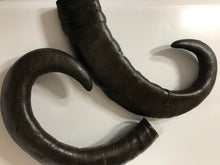 Load image into Gallery viewer, Buffalo Horn