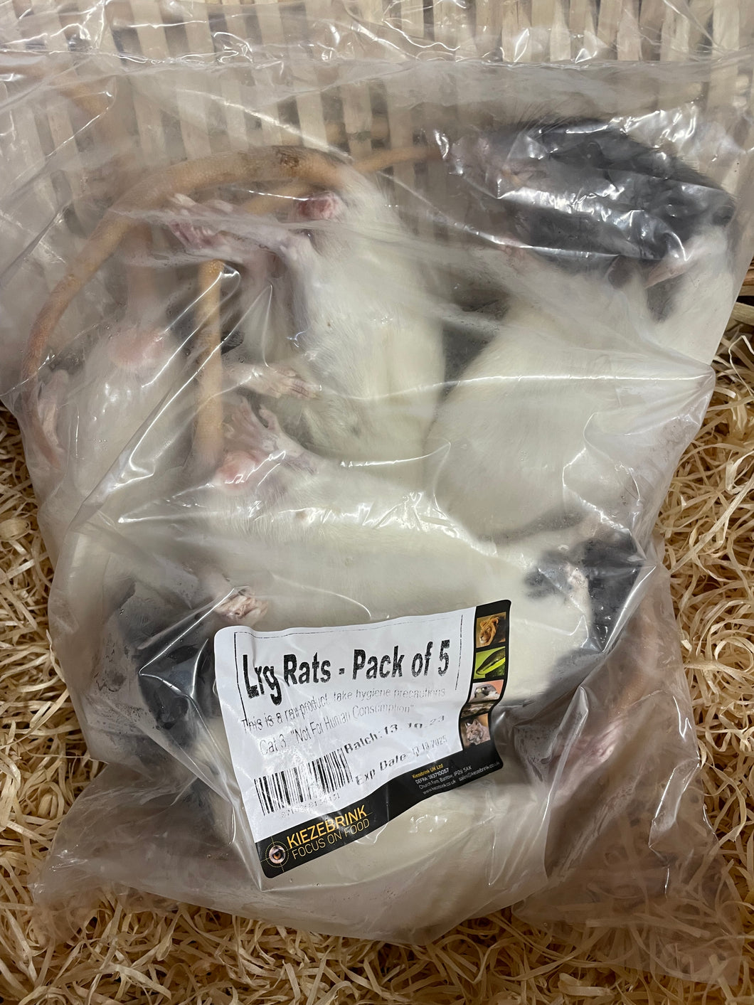Rats - Large (250-350g each) - Pack of 5.  Whole Prey.