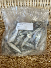 Load image into Gallery viewer, Fish - Sprats.  Raw.  1kg (approx)
