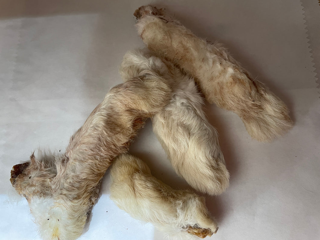 Rabbit Feet (Dried) with Fur.  100g (Approx)
