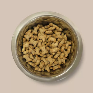 Milky Cheesy Bone Biscuits - Pointer, Small Bite