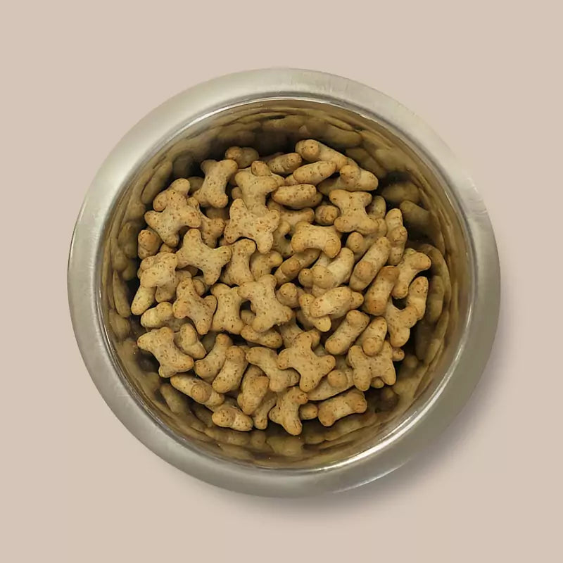 Milky Cheesy Bone Biscuits - Pointer, Small Bite