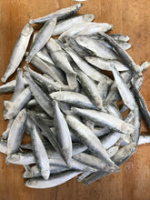Load image into Gallery viewer, Fish - Sprats.  Raw.  1kg or 2kg (approx)
