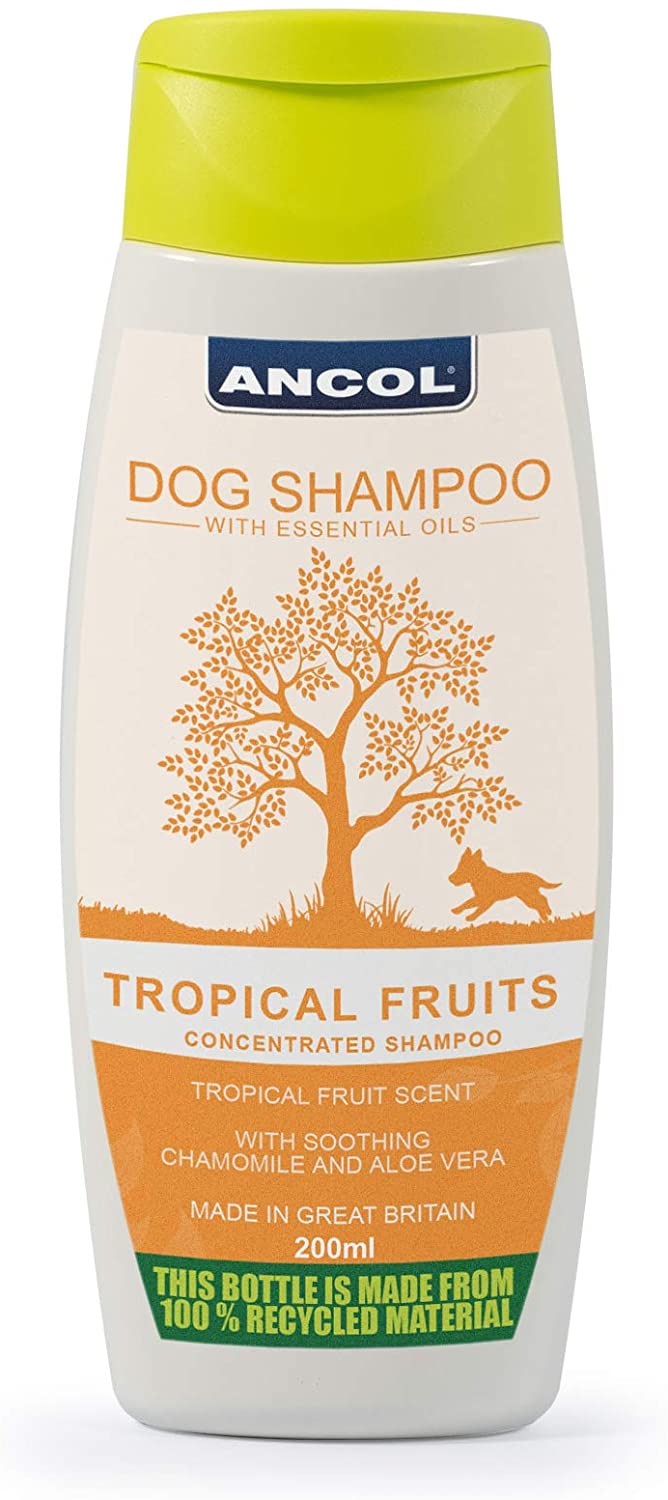 Ancol Tropical Fruits Shampoo for all coats.  200g
