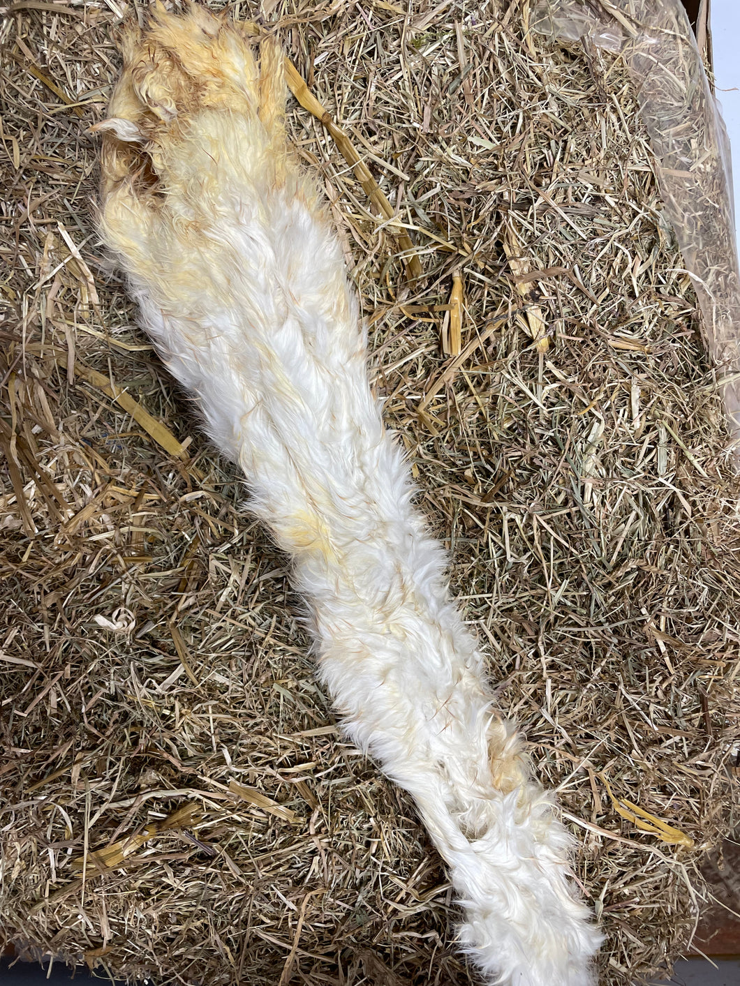 Rabbit Pelt - Large.  100% Rabbit Skin with Fur.