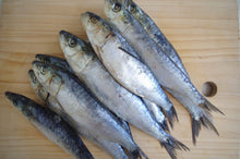 Load image into Gallery viewer, Fish - Sardines.  Raw.  1kg (approx).  Individually Frozen
