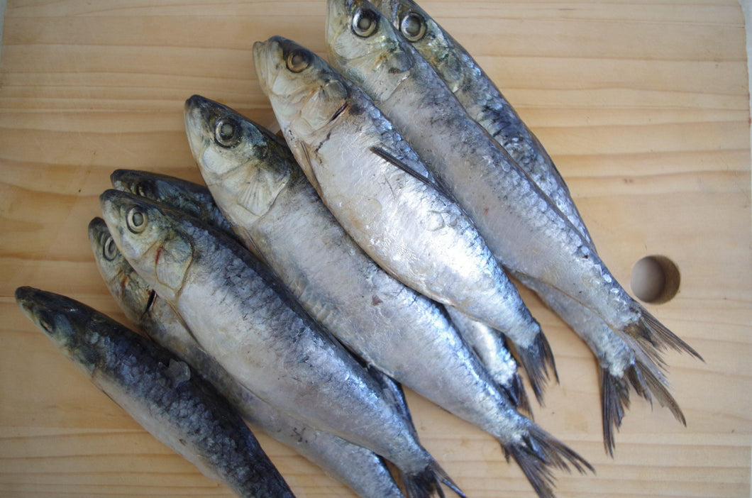 Fish - Sardines.  Raw.  1kg (approx).  Individually Frozen