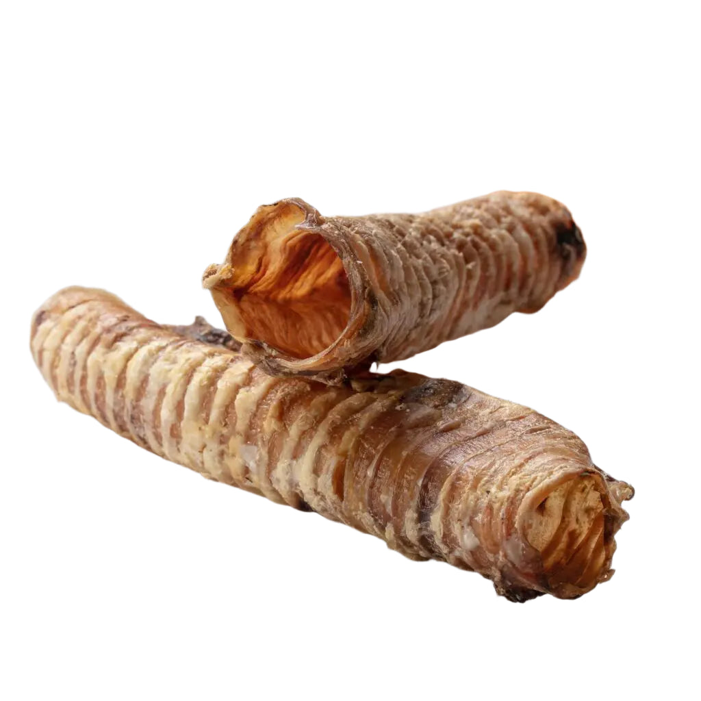 Dried beef trachea for dogs hotsell