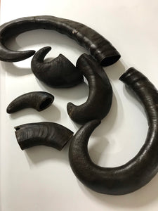 Buffalo Horn