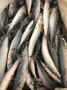 Fish - Mackerel.  Raw.  1kg (approx).  Individually Frozen