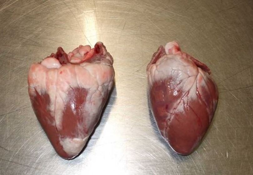 Lamb Hearts.  RAW.  1kg (approx) (5 hearts)