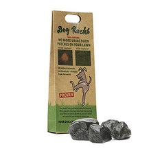 Load image into Gallery viewer, Dog Rocks Igneous Rock - Prevent urine marks on your lawn
